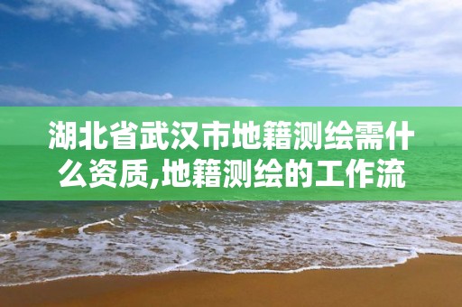 湖北省武漢市地籍測繪需什么資質(zhì),地籍測繪的工作流程是什么?。