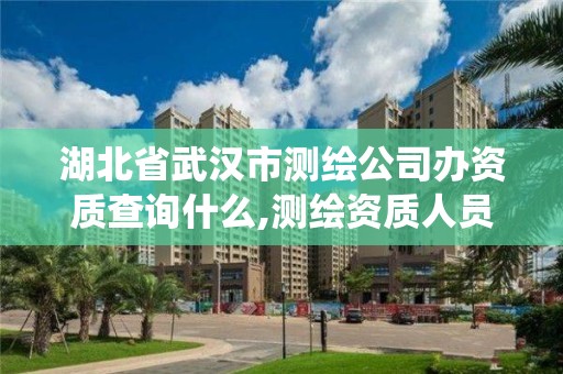 湖北省武漢市測繪公司辦資質查詢什么,測繪資質人員查詢系統。