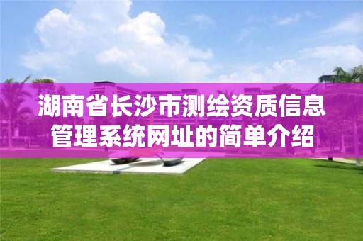 湖南省長沙市測繪資質(zhì)信息管理系統(tǒng)網(wǎng)址的簡單介紹