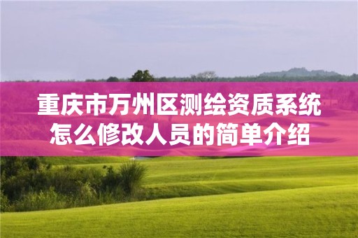 重慶市萬州區測繪資質系統怎么修改人員的簡單介紹