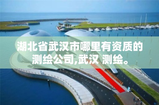 湖北省武漢市哪里有資質的測繪公司,武漢 測繪。