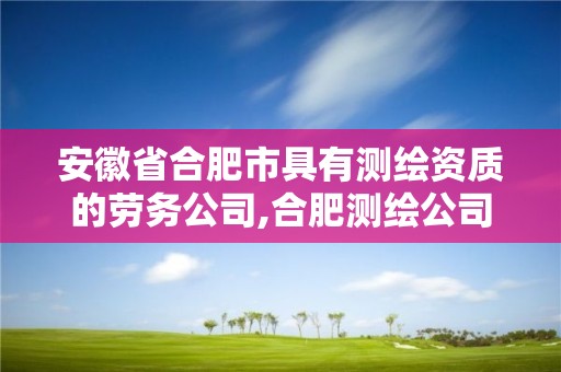 安徽省合肥市具有測繪資質的勞務公司,合肥測繪公司有哪些。