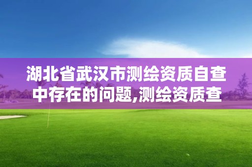 湖北省武漢市測繪資質自查中存在的問題,測繪資質查詢監管平臺。