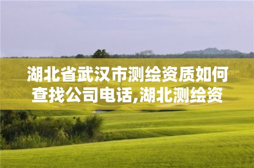 湖北省武漢市測繪資質(zhì)如何查找公司電話,湖北測繪資質(zhì)查詢。