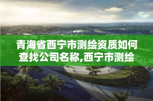 青海省西寧市測繪資質如何查找公司名稱,西寧市測繪院改企業。