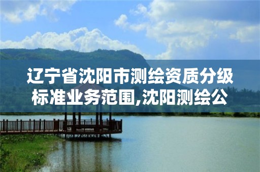 遼寧省沈陽市測繪資質分級標準業務范圍,沈陽測繪公司招聘信息最新招聘。