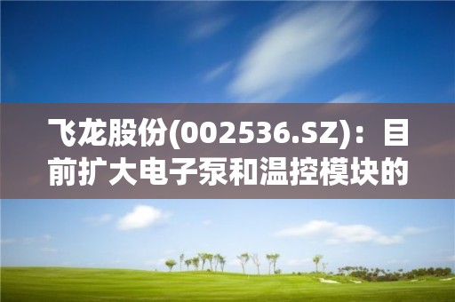 飛龍股份(002536.SZ)：目前擴大電子泵和溫控模塊的產能是為今年和未來三年做準備