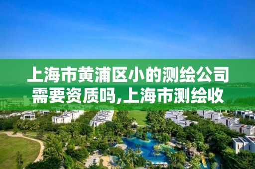 上海市黃浦區小的測繪公司需要資質嗎,上海市測繪收費標準。