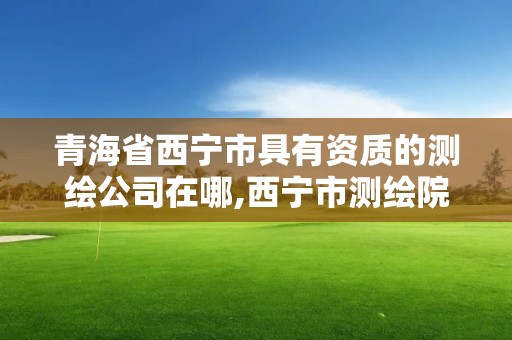 青海省西寧市具有資質的測繪公司在哪,西寧市測繪院在哪里。