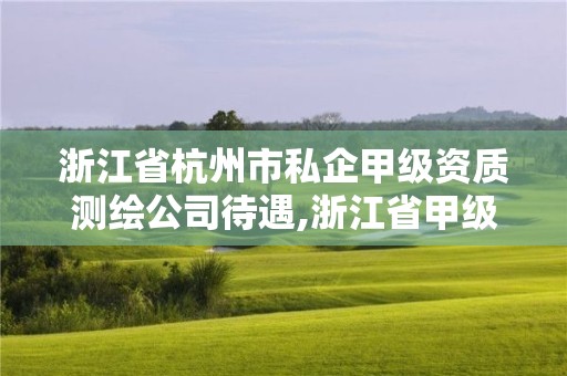 浙江省杭州市私企甲級資質(zhì)測繪公司待遇,浙江省甲級測繪資質(zhì)單位。