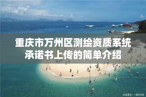 重慶市萬州區測繪資質系統承諾書上傳的簡單介紹