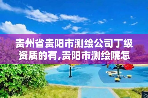 貴州省貴陽市測繪公司丁級資質的有,貴陽市測繪院怎么樣。