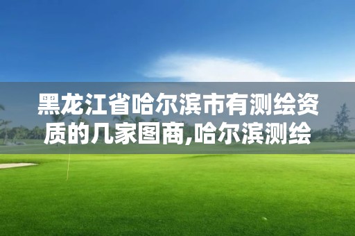 黑龍江省哈爾濱市有測繪資質(zhì)的幾家圖商,哈爾濱測繪公司有哪些。