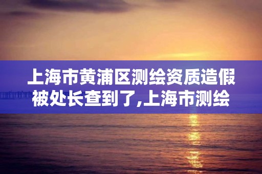 上海市黃浦區測繪資質造假被處長查到了,上海市測繪產品質量。