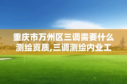 重慶市萬州區三調需要什么測繪資質,三調測繪內業工作內容。