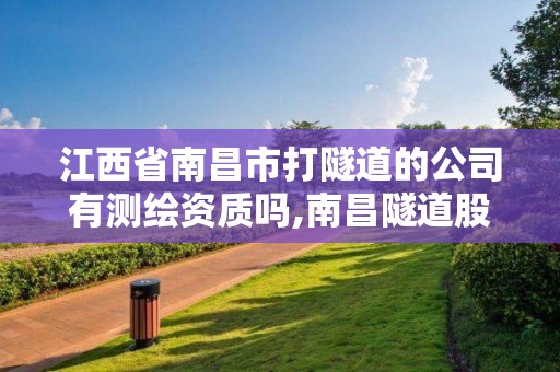 江西省南昌市打隧道的公司有測繪資質嗎,南昌隧道股份有限公司。