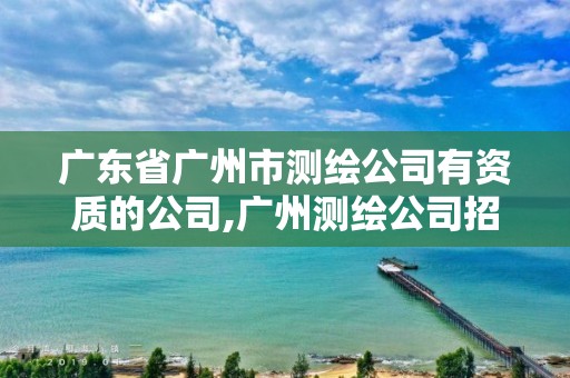 廣東省廣州市測(cè)繪公司有資質(zhì)的公司,廣州測(cè)繪公司招聘信息。