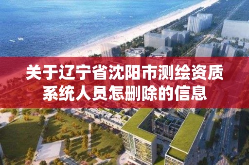 關于遼寧省沈陽市測繪資質系統人員怎刪除的信息