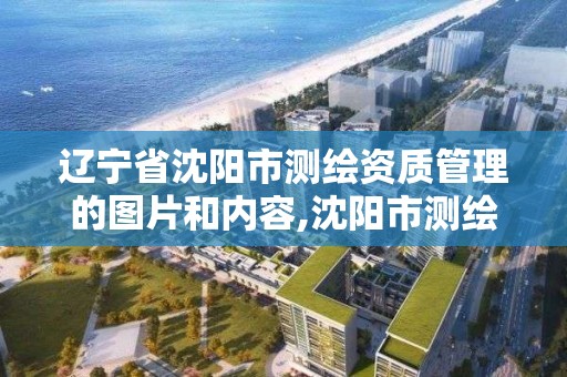 遼寧省沈陽市測繪資質管理的圖片和內容,沈陽市測繪管理辦公室。