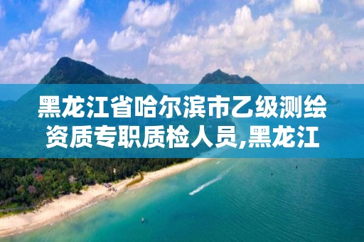 黑龍江省哈爾濱市乙級測繪資質專職質檢人員,黑龍江測繪公司乙級資質。