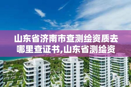 山東省濟南市查測繪資質去哪里查證書,山東省測繪資質專用章圖片。