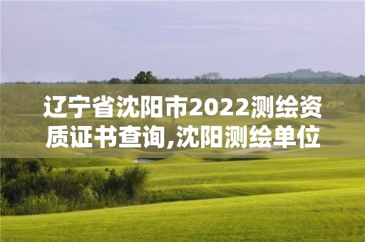 遼寧省沈陽市2022測繪資質證書查詢,沈陽測繪單位。