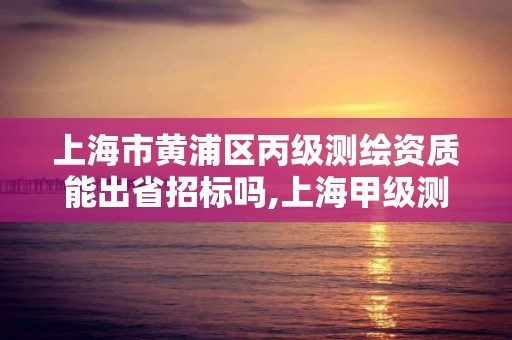 上海市黃浦區丙級測繪資質能出省招標嗎,上海甲級測繪單位。