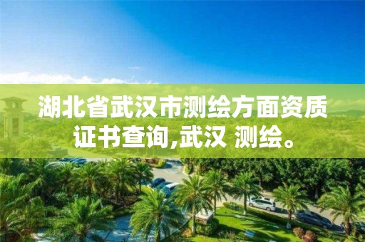 湖北省武漢市測繪方面資質(zhì)證書查詢,武漢 測繪。