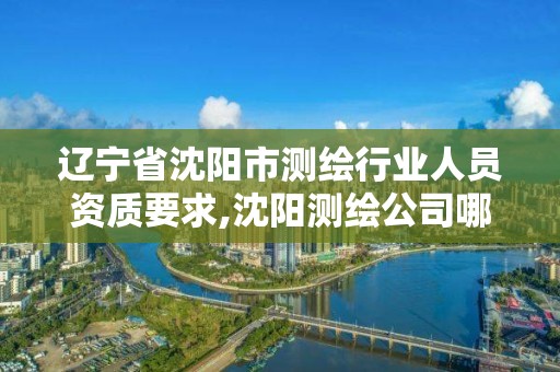 遼寧省沈陽市測繪行業人員資質要求,沈陽測繪公司哪家強哪家好。