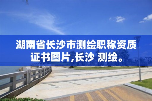 湖南省長沙市測繪職稱資質證書圖片,長沙 測繪。