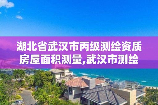 湖北省武漢市丙級測繪資質房屋面積測量,武漢市測繪工程技術規定。