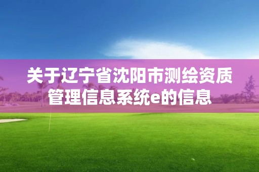 關于遼寧省沈陽市測繪資質管理信息系統e的信息