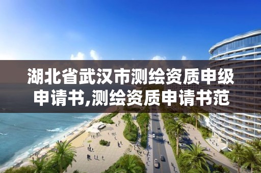 湖北省武漢市測繪資質申級申請書,測繪資質申請書范文。