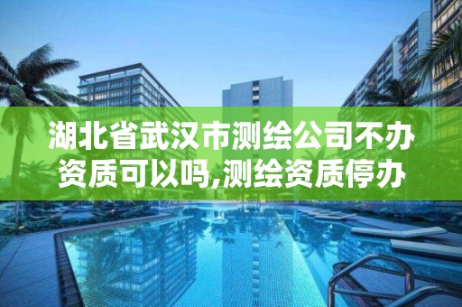 湖北省武漢市測繪公司不辦資質可以嗎,測繪資質停辦了嗎。