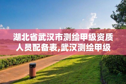 湖北省武漢市測繪甲級資質人員配備表,武漢測繪甲級資質公司。