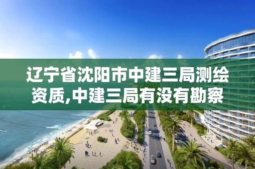 遼寧省沈陽市中建三局測繪資質(zhì),中建三局有沒有勘察資質(zhì)。