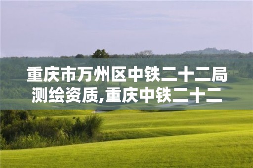 重慶市萬州區(qū)中鐵二十二局測(cè)繪資質(zhì),重慶中鐵二十二局集團(tuán)有限公司。