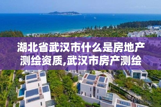 湖北省武漢市什么是房地產測繪資質,武漢市房產測繪實施細則。