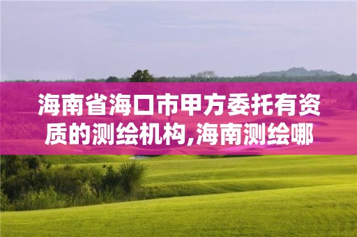 海南省?？谑屑追轿杏匈Y質的測繪機構,海南測繪哪家好。