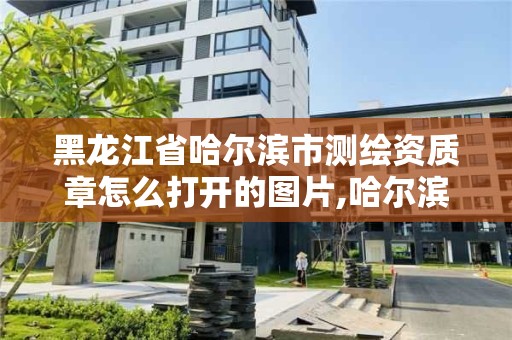 黑龍江省哈爾濱市測繪資質章怎么打開的圖片,哈爾濱測繪局幼兒園是民辦還是公辦。