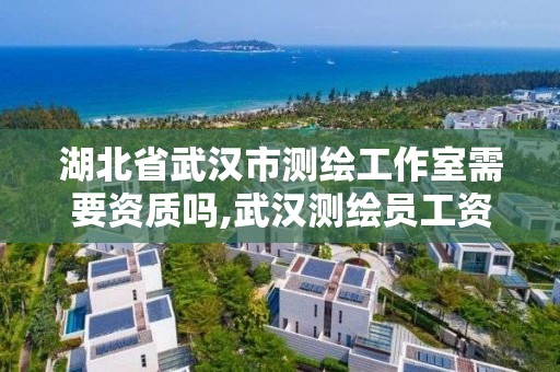 湖北省武漢市測繪工作室需要資質嗎,武漢測繪員工資。