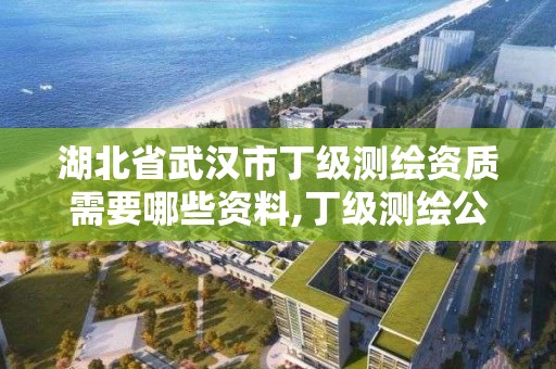 湖北省武漢市丁級測繪資質需要哪些資料,丁級測繪公司。