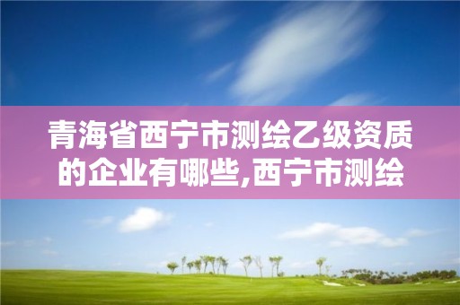 青海省西寧市測繪乙級資質的企業有哪些,西寧市測繪公司。