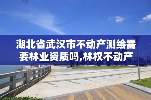 湖北省武漢市不動產(chǎn)測繪需要林業(yè)資質(zhì)嗎,林權(quán)不動產(chǎn)測繪資質(zhì)。