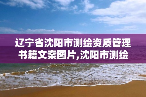 遼寧省沈陽市測繪資質管理書籍文案圖片,沈陽市測繪院是什么單位。