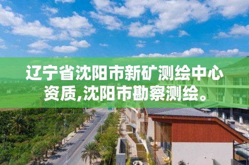 遼寧省沈陽市新礦測繪中心資質,沈陽市勘察測繪。