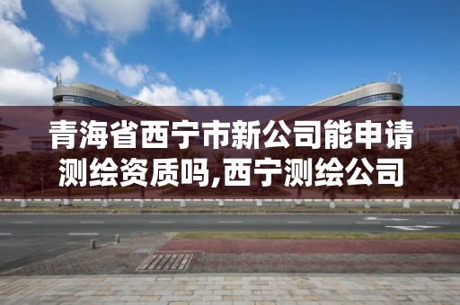 青海省西寧市新公司能申請測繪資質嗎,西寧測繪公司聯系方式。