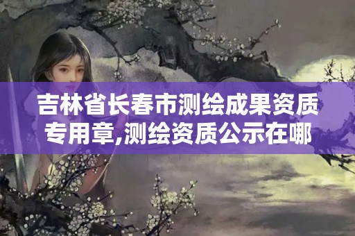 吉林省長春市測繪成果資質(zhì)專用章,測繪資質(zhì)公示在哪里查詢。