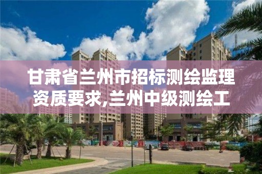 甘肅省蘭州市招標測繪監(jiān)理資質要求,蘭州中級測繪工程師招聘。