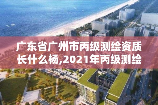 廣東省廣州市丙級(jí)測(cè)繪資質(zhì)長(zhǎng)什么楊,2021年丙級(jí)測(cè)繪資質(zhì)申請(qǐng)需要什么條件。